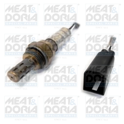 Oxygen Sensor